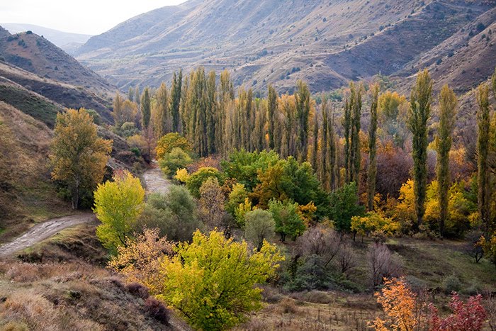 THE KHOSROV RESERVE2.jpg